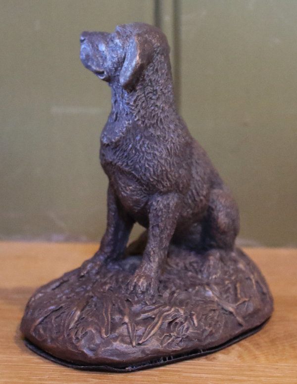 Labrador (zittend)