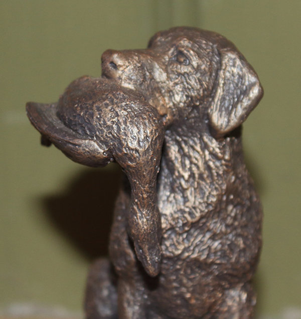 Labrador met eenden apport